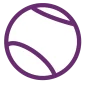 evorra icon